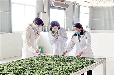 扶貧類節目正成為脫貧攻堅的“輕騎兵”