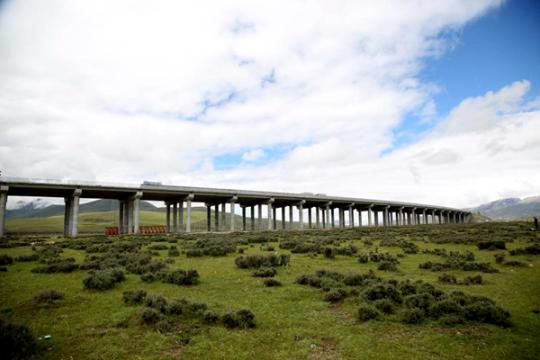 科技+生態+致富 這條世界海拔最高高速公路背后故事多