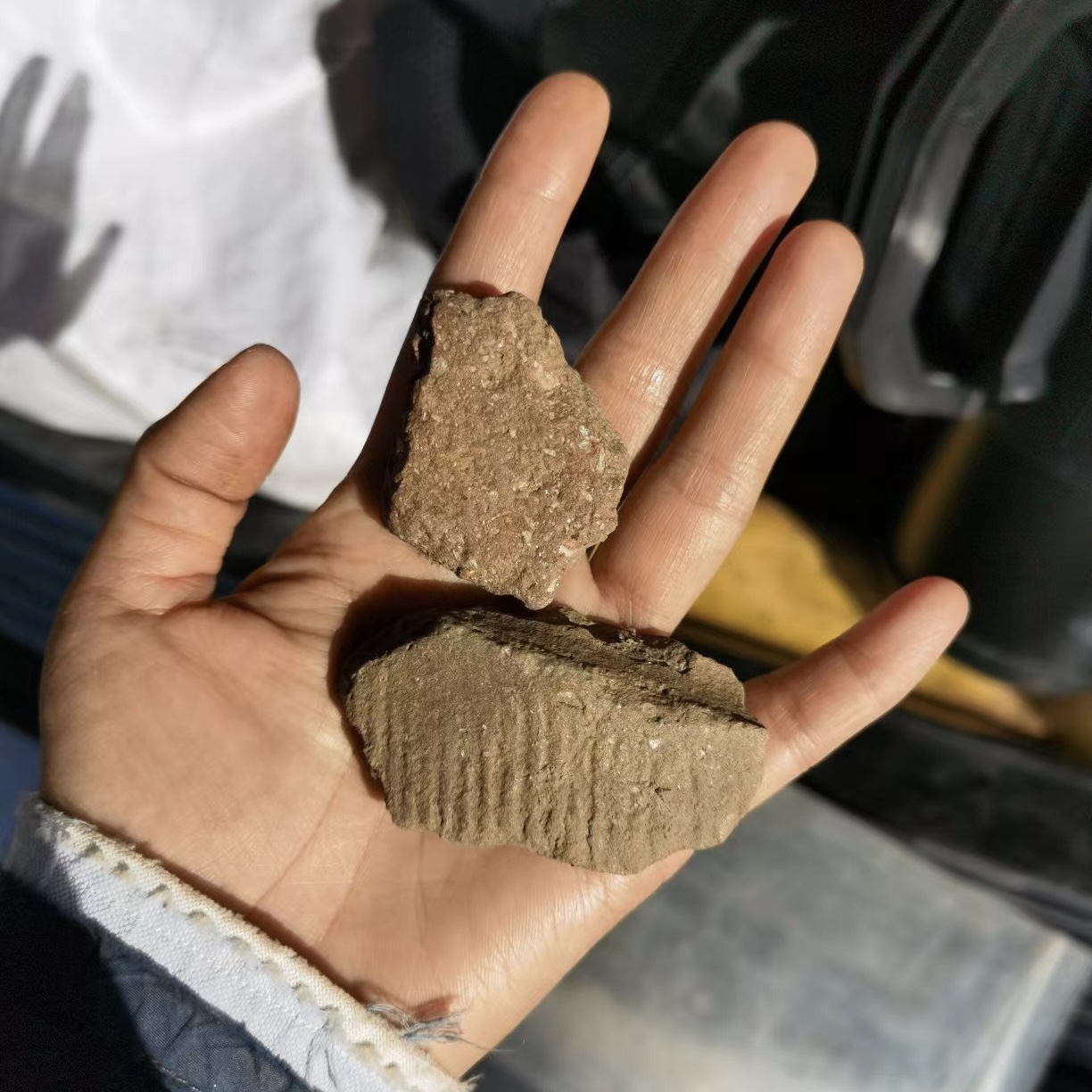 李靜采集的繩紋陶片 李靜采集的繩紋陶片