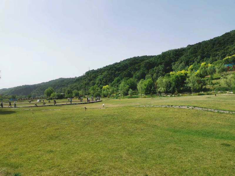 【高質量發展調研行】延安:“紅”與“綠”交相輝映