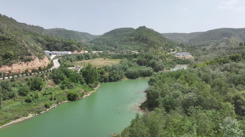 【高質量發展調研行】延安:“紅”與“綠”交相輝映