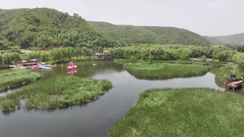 【高質量發展調研行】延安:“紅”與“綠”交相輝映