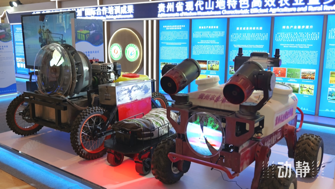 展示成果分享經驗，中國—東盟教育交流周深化合作共創未來！