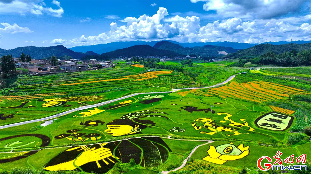 云南清水：延伸公共法律服務觸角，讓普法與民族團結進步互促共融