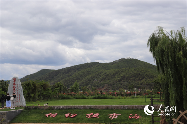 麗江市拉市海景區。 人民網記者 程浩攝