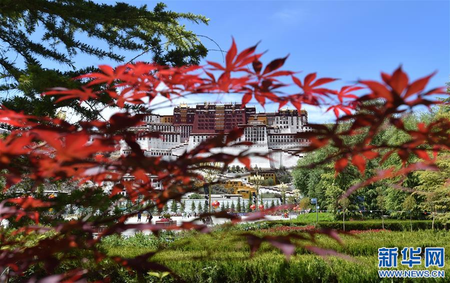 (社會(huì))(3)布達(dá)拉宮恢復(fù)對(duì)外開(kāi)放