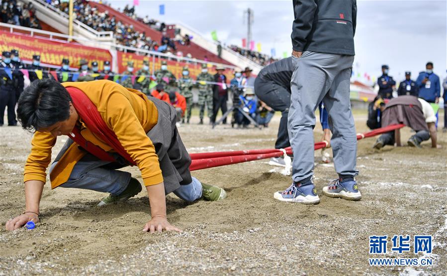 (體育)(4)西藏那曲:賽馬藝術節上的比拼