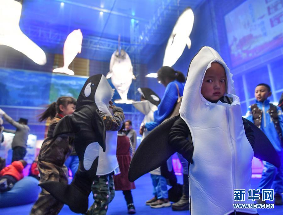 (社會)(2)西藏:孩子們的博物館之夜