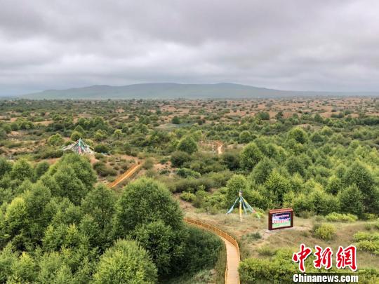 江蘇援青解“生態題”:援“建”沙漠綠洲幫“凈”地下水源