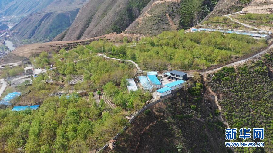 (脫貧攻堅·圖片故事)(2)“90后新農人”的返鄉致富路