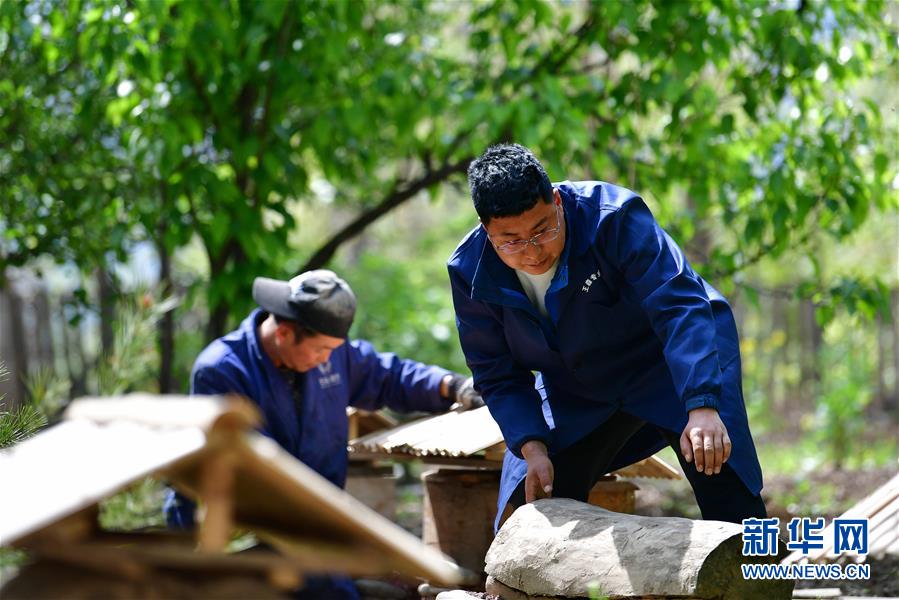 (脫貧攻堅·圖片故事)(3)“90后新農人”的返鄉致富路