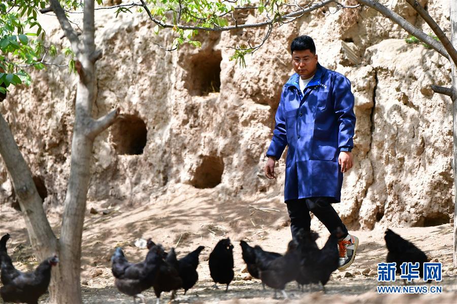 (脫貧攻堅·圖片故事)(5)“90后新農人”的返鄉致富路