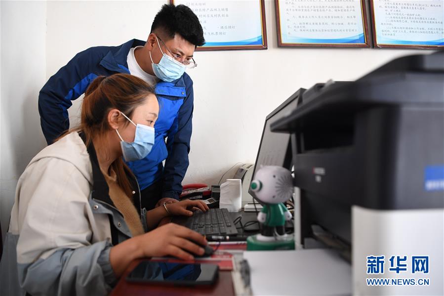 (脫貧攻堅·圖片故事)(9)“90后新農人”的返鄉致富路