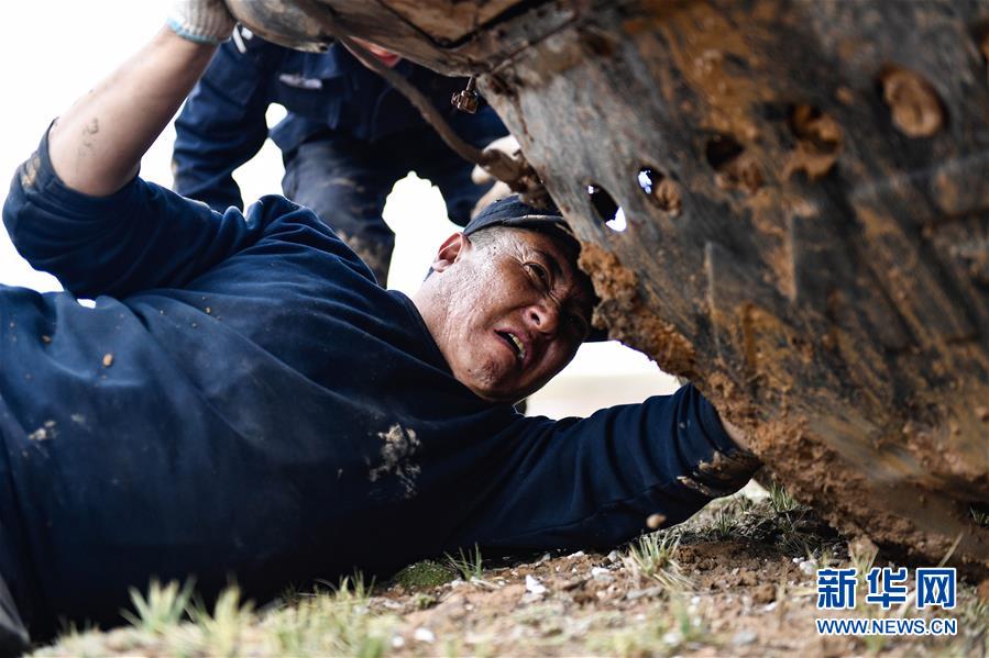 (圖文互動)(1)記者手記:可可西里,“挪”向“藏羚羊大產房”的14個半小時