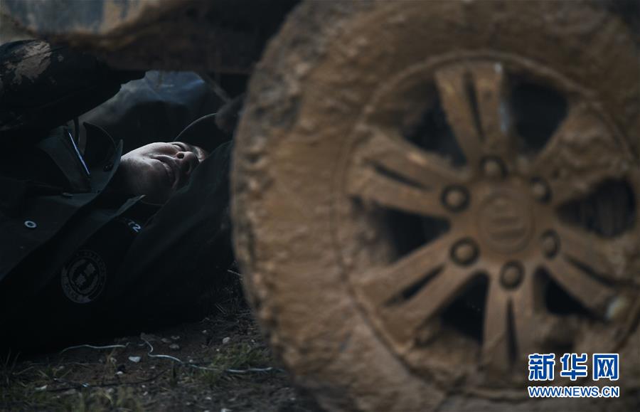 (圖文互動)(8)記者手記:可可西里,“挪”向“藏羚羊大產房”的14個半小時