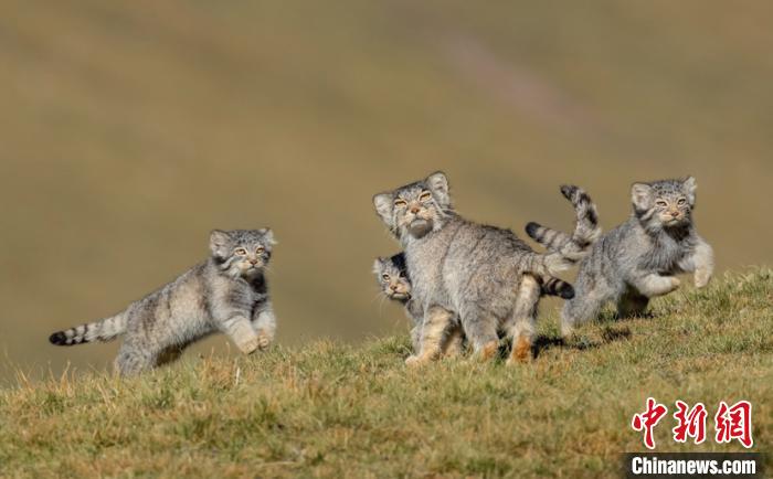 圖為李善元獲獎(jiǎng)作品《當(dāng)媽媽說跑步前進(jìn)》。　李善元 攝