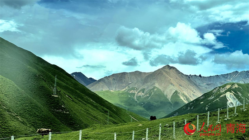 果洛風光。人民網 劉沛然攝