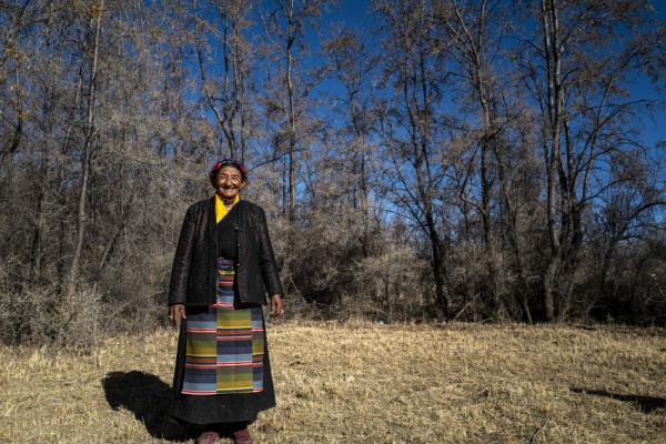 沙棘傳奇——西藏隆子跨越半個世紀的生態革命