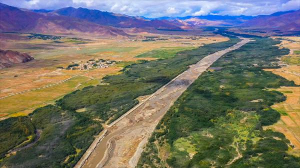 沙棘傳奇——西藏隆子跨越半個世紀的生態革命