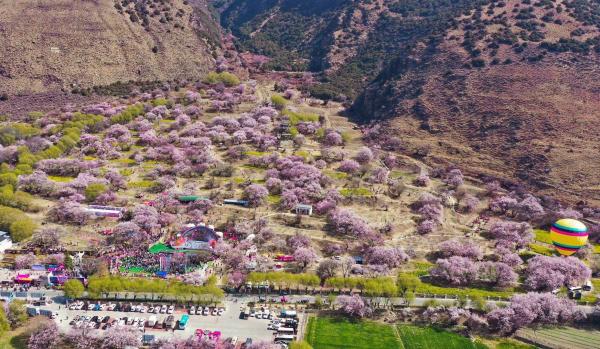 世外桃源!一組圖告訴你,西藏林芝桃花能有多美