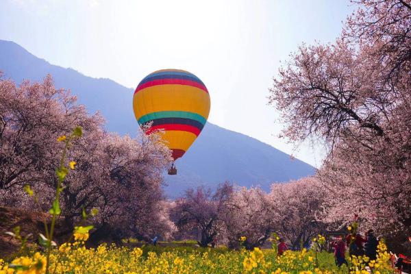 世外桃源!一組圖告訴你,西藏林芝桃花能有多美
