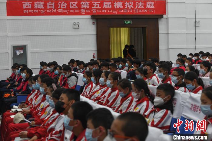 圖為西藏自治區第五屆模擬法庭現場。 貢嘎來松 攝