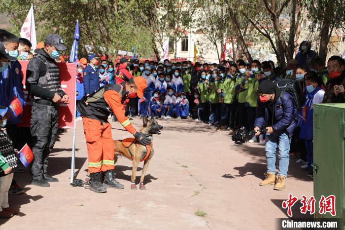 圖為搜救犬服從和箱體搜救演練?！≮w琳 攝