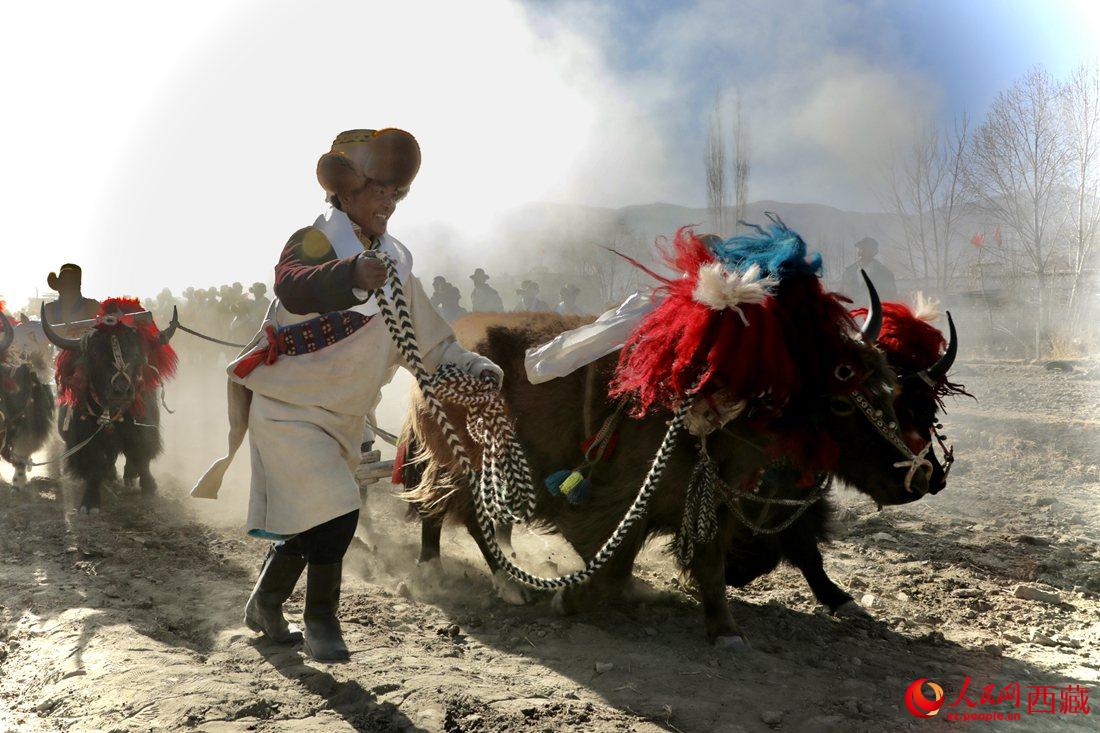 山南市扎囊縣扎其鄉孟卡榮村迎來春耕第一犁。人民網 次仁羅布攝