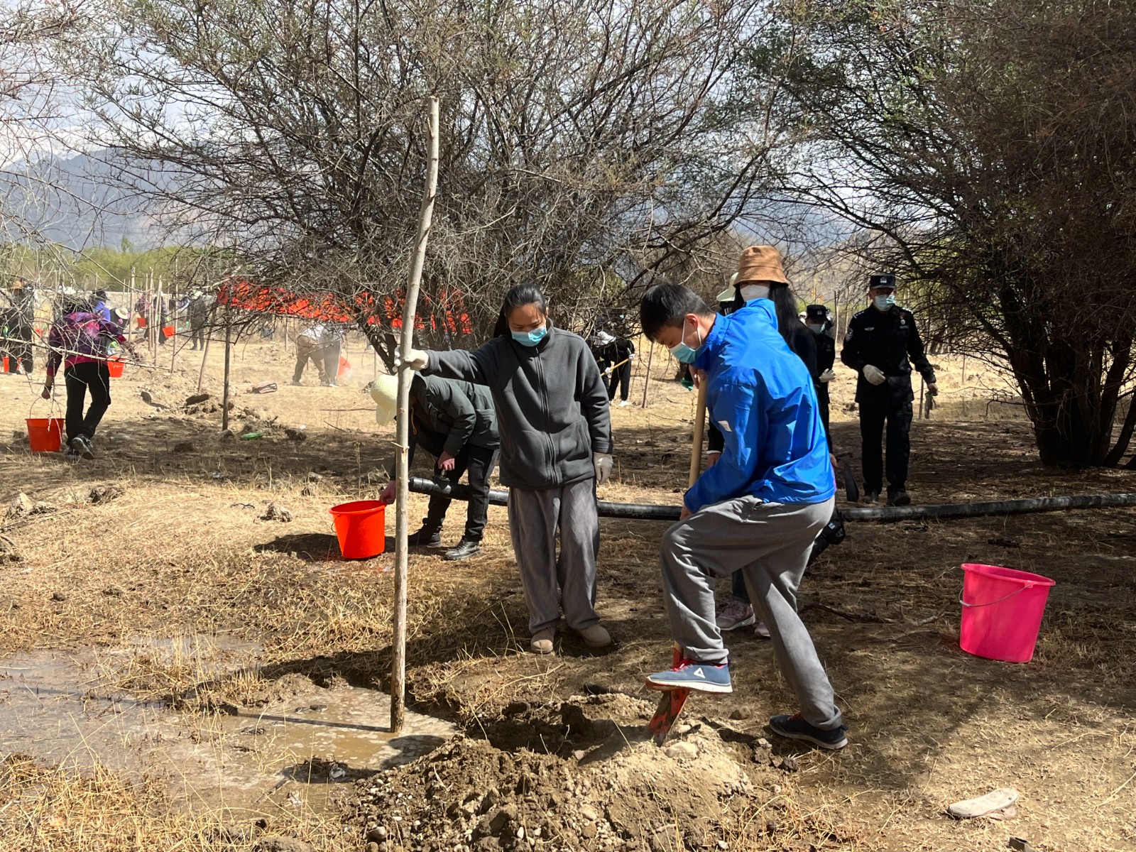 植樹現場，大家分工明確，配合默契(2000565)-20220420090303.jpg