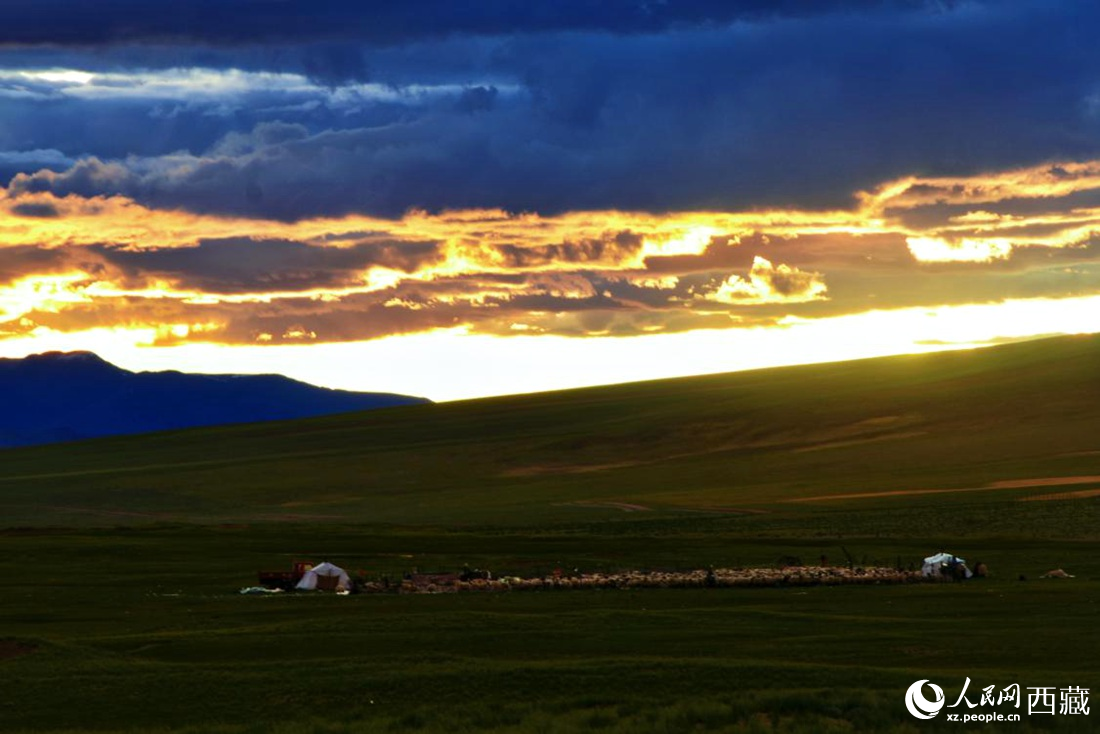 黃昏下的帳篷，牧民過著幸福生活。 人民網(wǎng) 李海霞攝