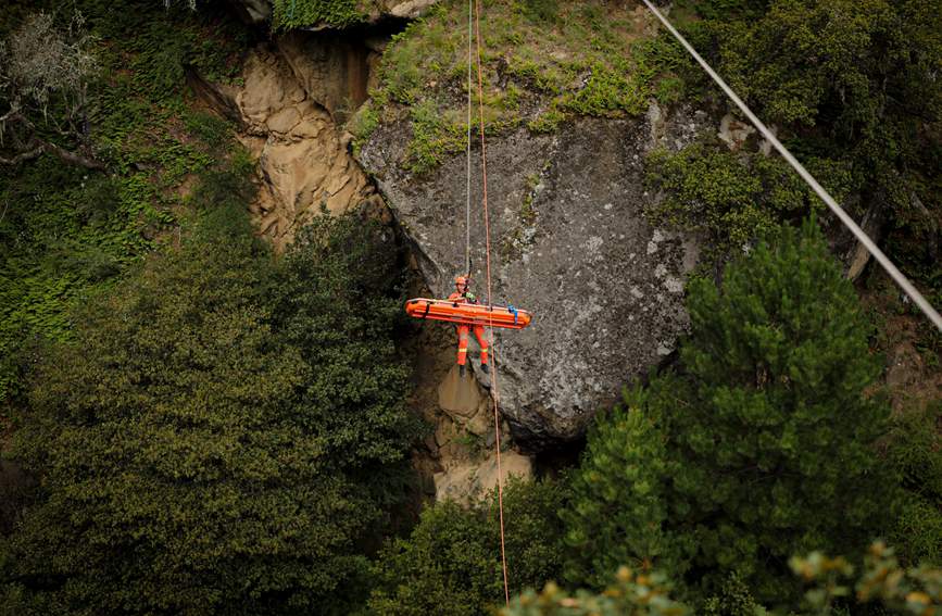 叢林中的橙色身影。西繞拉翁攝