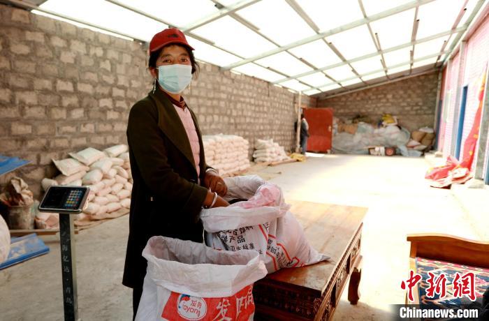 圖為寧重崗村村民扎西才措把自家的油菜籽送到合作社銷售。　嘉黎縣融媒體中心供圖