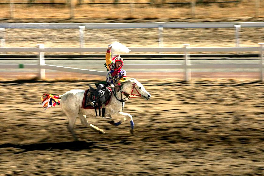 藏歷新年，精彩的馬術表演。張靜攝