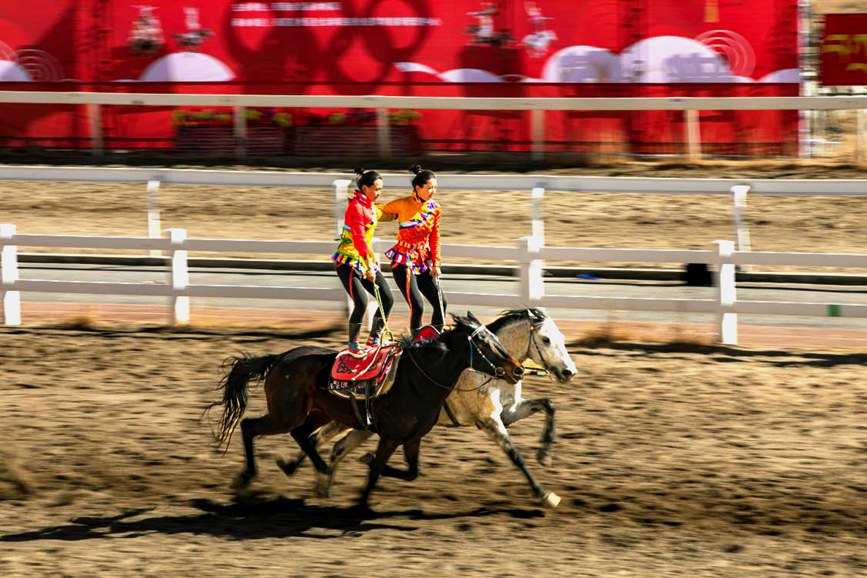 藏歷新年，精彩的馬術表演。張靜攝