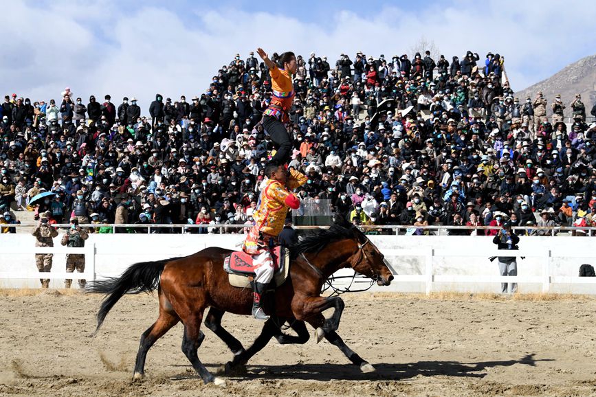 藏歷新年，精彩的馬術表演。潘多攝
