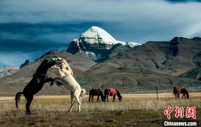圖為參展攝影師拍攝的西藏阿里岡仁波齊?！≈鬓k方 供圖