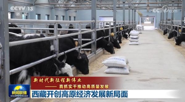 【新時代新征程新偉業——真抓實干推動高質量發展】西藏開創高原經濟發展新局面