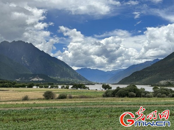 我們的家園|林芝米林縣:河長護藥洲,碧水映花谷