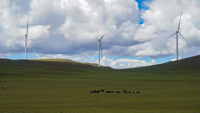 西藏措美哲古風電場首批3.6兆瓦風電機組并網發電。受訪者供圖