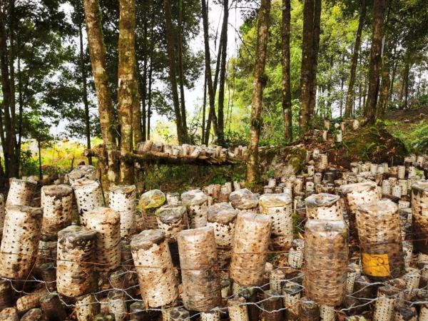 幾代建設者,歷經半個多世紀完成!這是一條怎樣的公路?