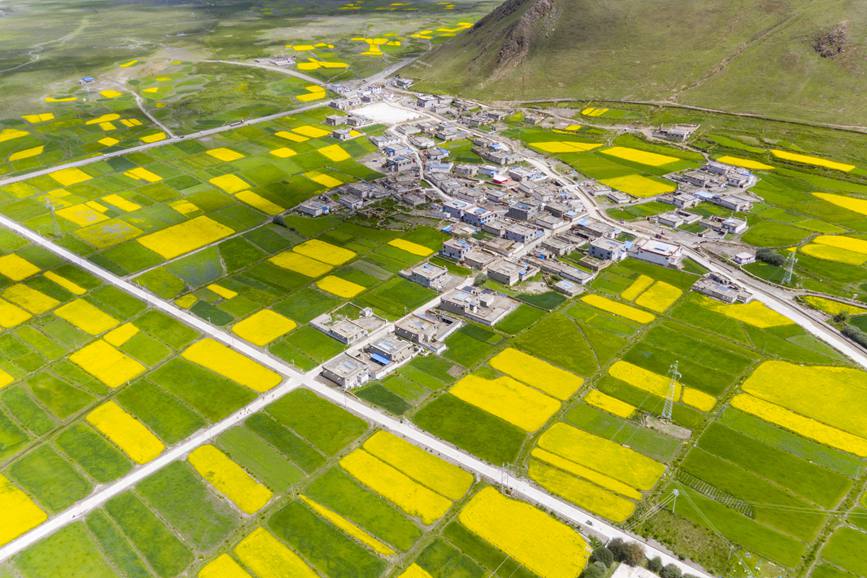 航拍道布龍村，依山傍水，阡陌縱橫。